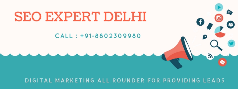 SEO-Freelancer-Delhi