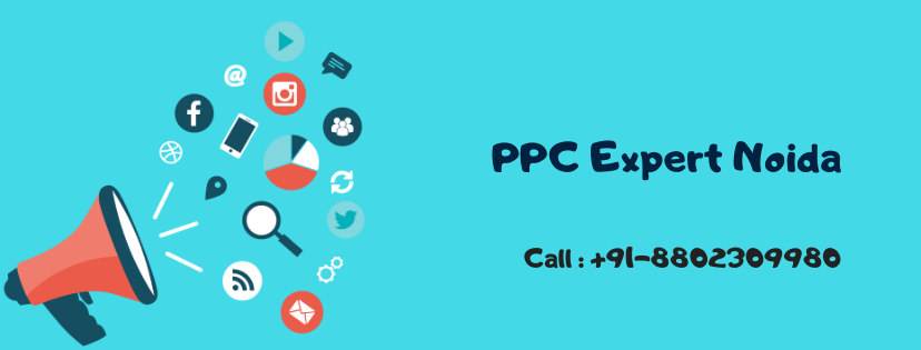 PPC-Freelancer-Expert-Noida