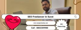 SEO-Freelancer-Surat