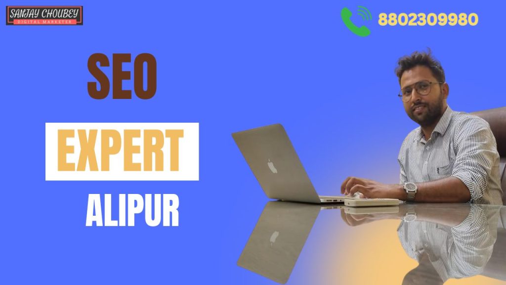 SEO-Expert-In-Alipur