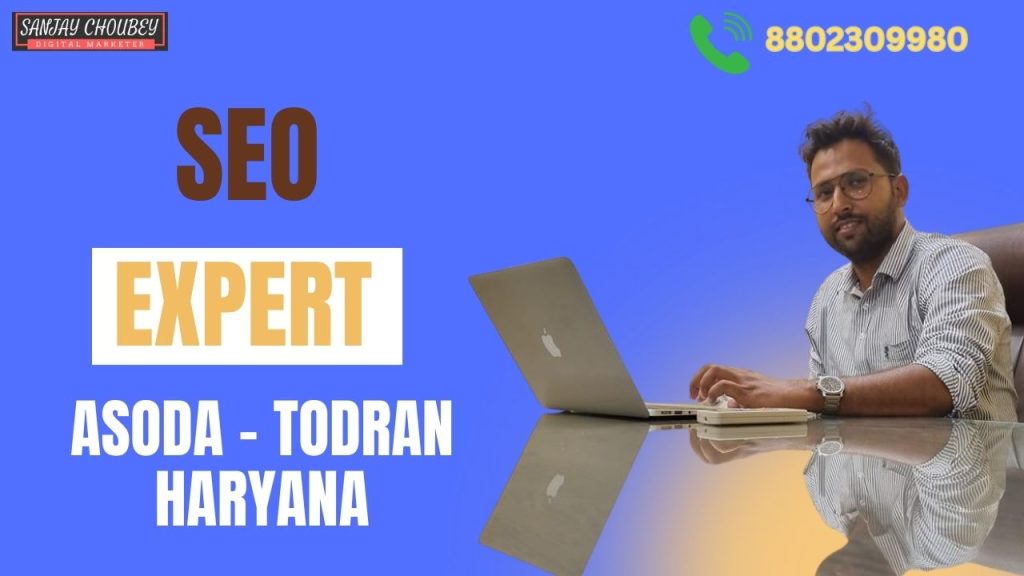 SEO Freelancer In Asoda-Todran-Haryana
