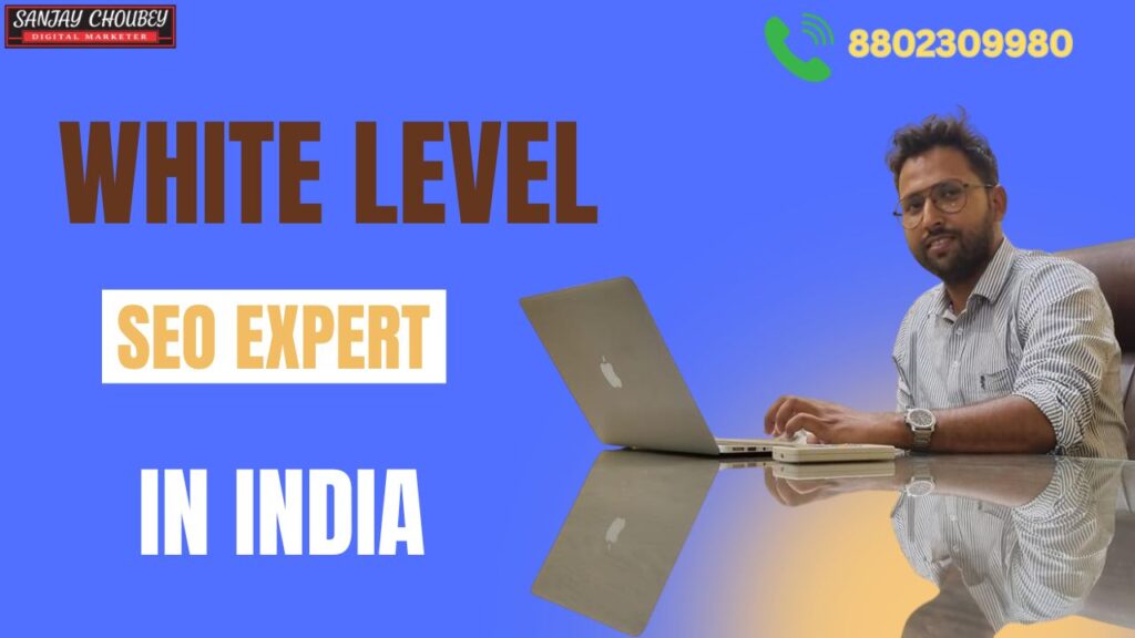 White Label SEO Consultant in India